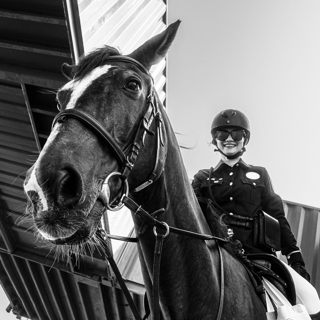 Mounted Police